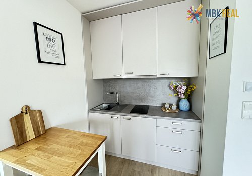 Prodej horského apartmánu na Dolní Moravě  - 106266