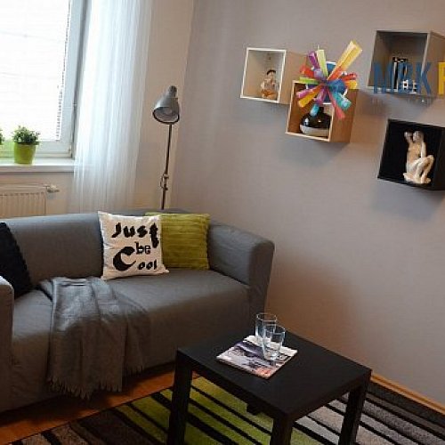 Pronájem bytu na ulici Zeiberlichova