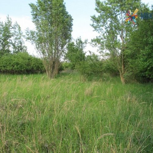 Prodej pozemku v Černovicích